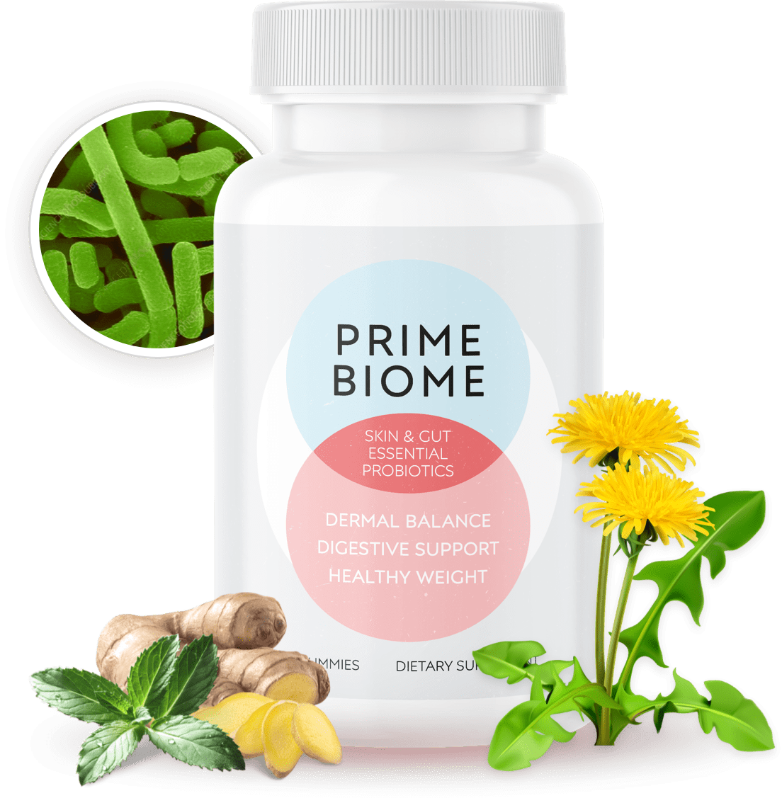 Prime Biome Supplement for Gut and Skin Health